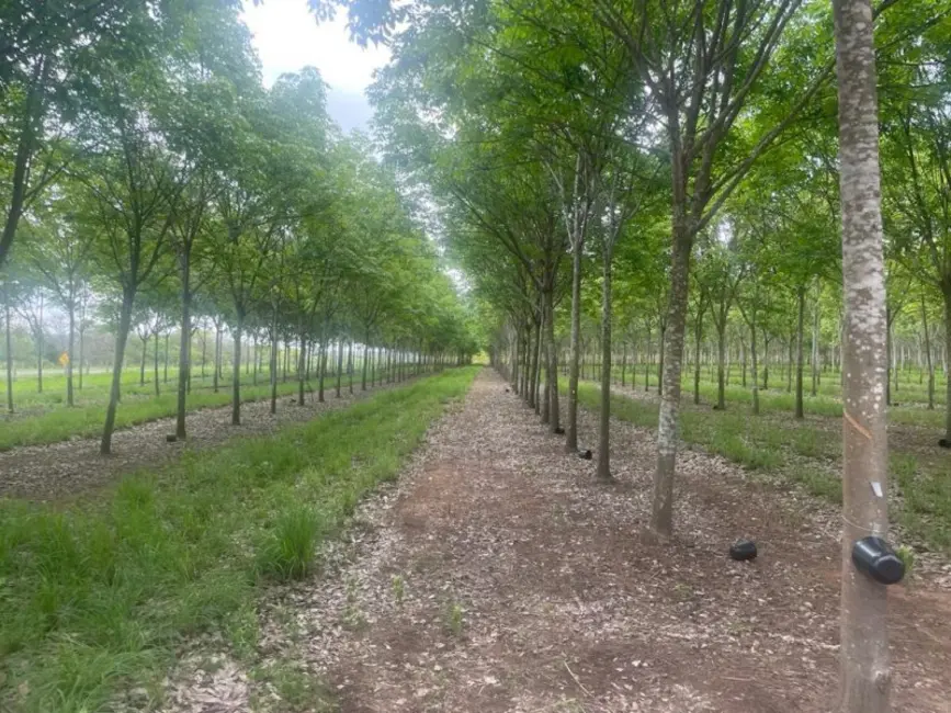 Foto 6 de Fazenda / Haras à venda, 17125m2 em Tocantins - MG