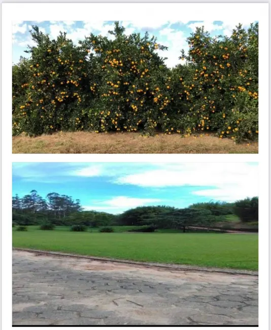 Foto 3 de Fazenda / Haras à venda, 847m2 em Área Rural de Marília, Marilia - SP