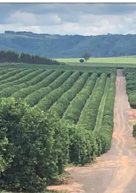 Foto 2 de Fazenda / Haras à venda, 847m2 em Área Rural de Marília, Marilia - SP