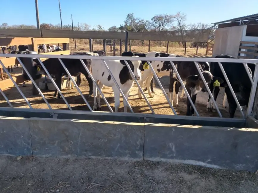 Foto 2 de Fazenda / Haras à venda, 940m2 em Joao Pinheiro - MG