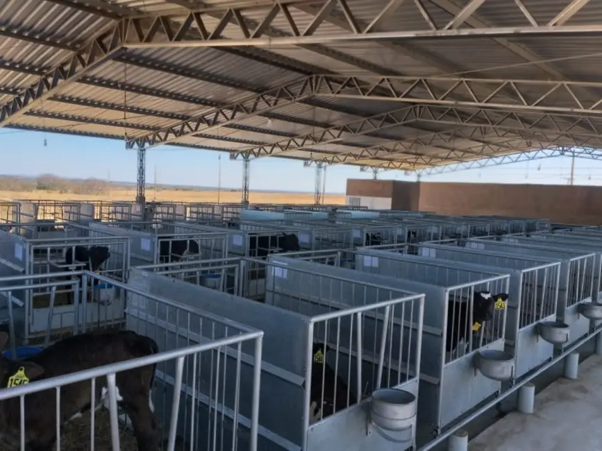 Foto 3 de Fazenda / Haras à venda, 940m2 em Joao Pinheiro - MG