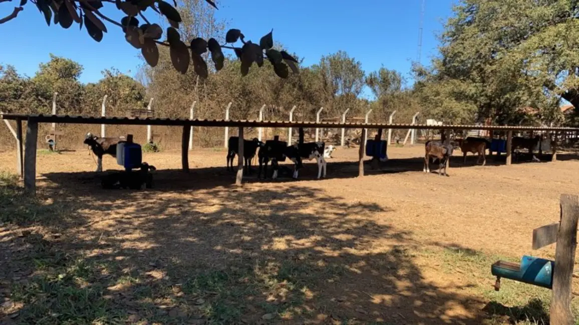 Foto 6 de Fazenda / Haras à venda, 940m2 em Joao Pinheiro - MG