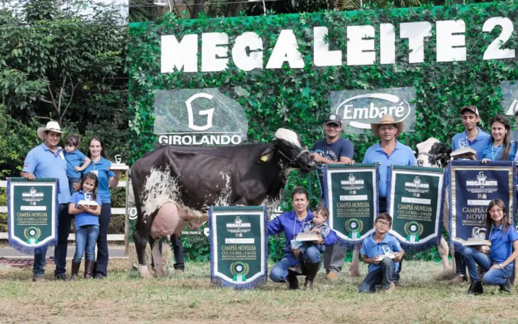 Foto 7 de Fazenda / Haras à venda, 940m2 em Joao Pinheiro - MG