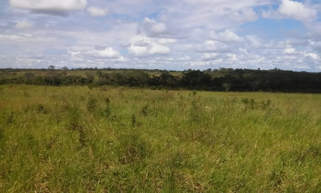 Foto 4 de Fazenda / Haras à venda, 529m2 em Taguatinga - TO
