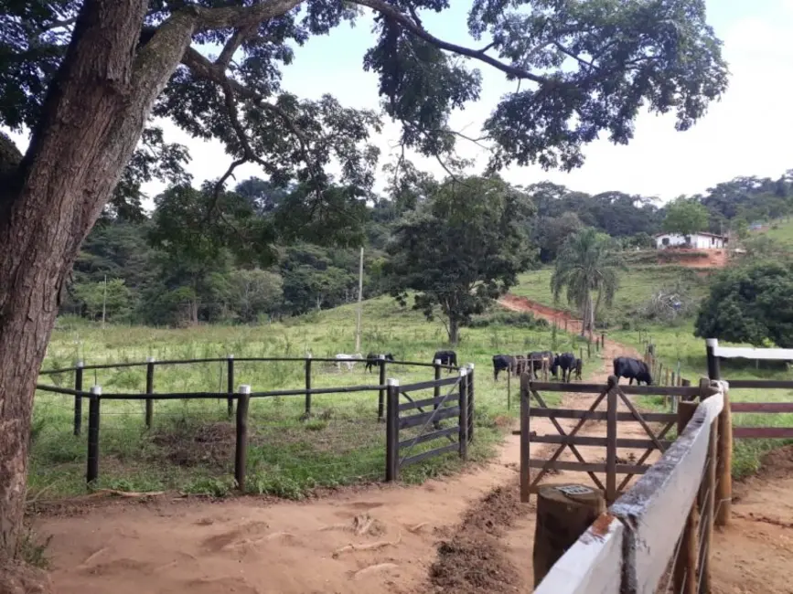 Foto 1 de Fazenda / Haras à venda, 441m2 em São Paulo, Governador Valadares - MG