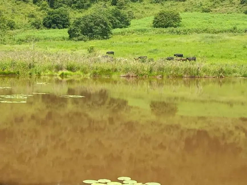 Foto 8 de Fazenda / Haras à venda, 441m2 em São Paulo, Governador Valadares - MG