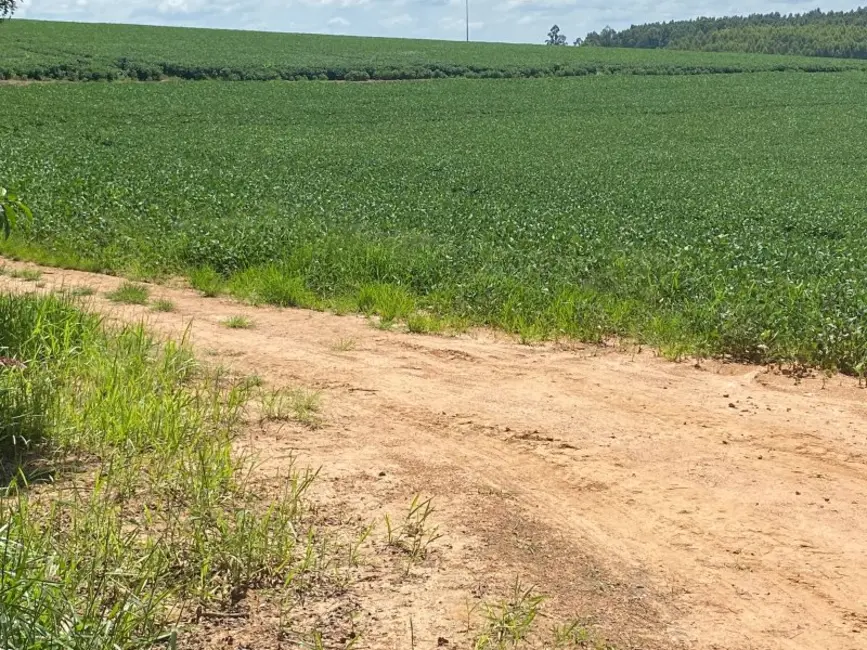 Fazenda / Haras à venda, 140m2 em Área Rural de Itapetininga, Itapetininga - SP - imagem 6 Foto 6 de Fazenda / Haras à venda, 140m2 em Área Rural de Itapetininga, Itapetininga - SP