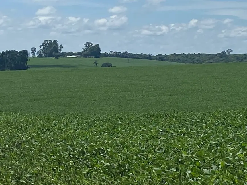 Fazenda / Haras à venda, 140m2 em Área Rural de Itapetininga, Itapetininga - SP - imagem 9 Foto 9 de Fazenda / Haras à venda, 140m2 em Área Rural de Itapetininga, Itapetininga - SP