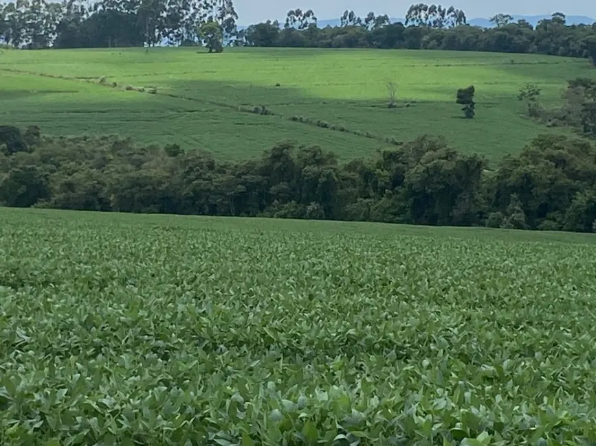 Foto 1 de Fazenda / Haras à venda, 140m2 em Área Rural de Itapetininga, Itapetininga - SP