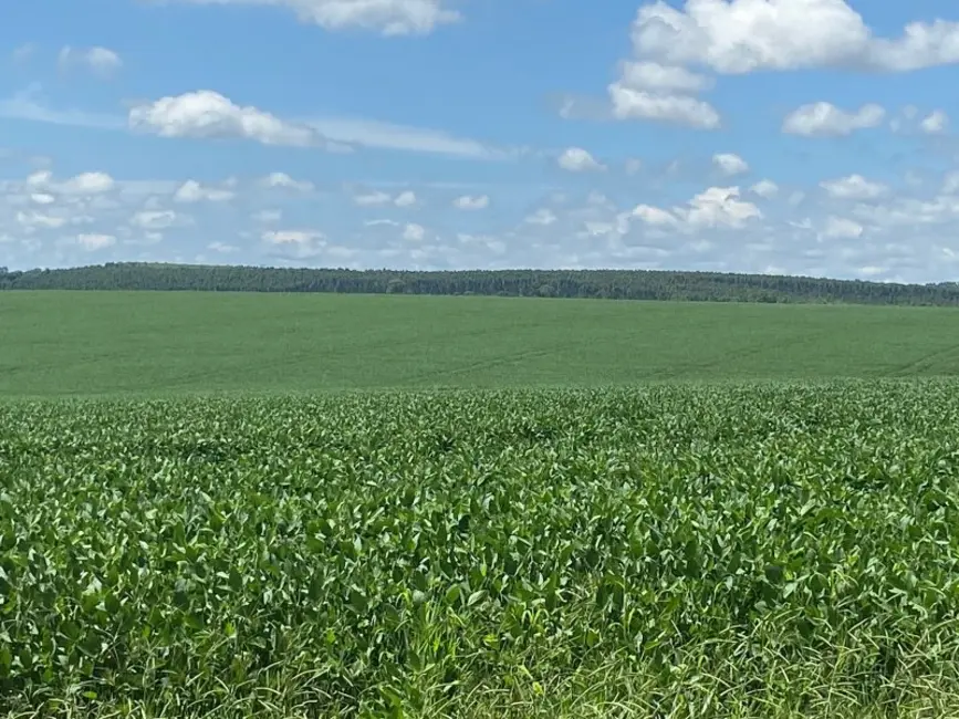 Foto 2 de Fazenda / Haras à venda, 140m2 em Área Rural de Itapetininga, Itapetininga - SP