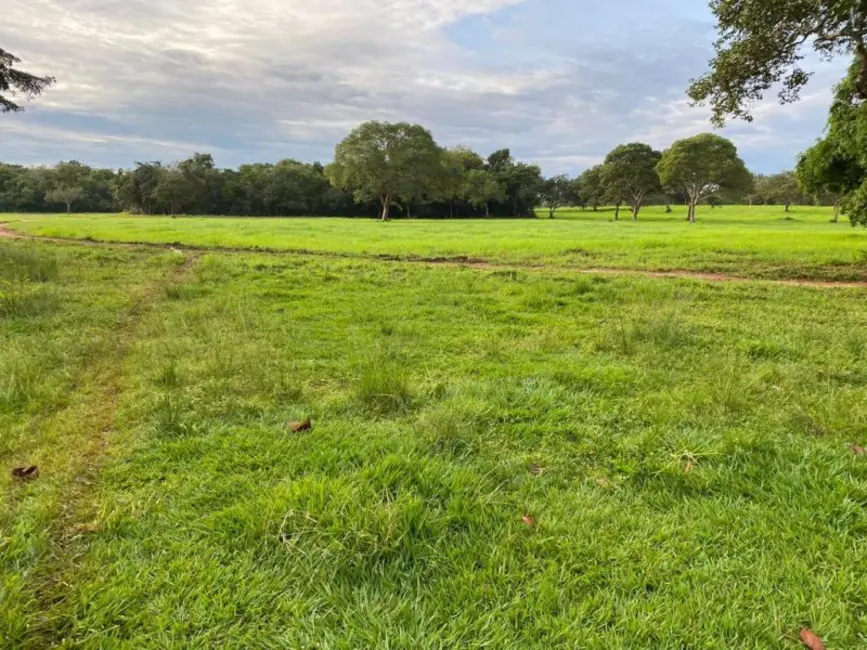 Foto 5 de Fazenda / Haras à venda, 692m2 em Setor Central, Dois Irmaos Do Tocantins - TO