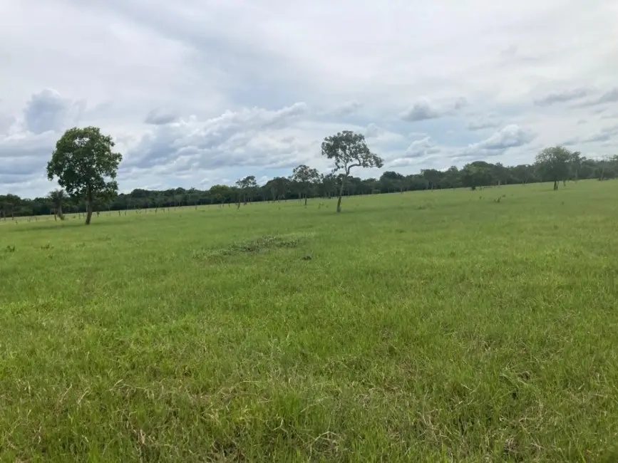 Foto 9 de Fazenda / Haras à venda, 692m2 em Setor Central, Dois Irmaos Do Tocantins - TO