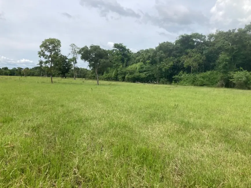 Foto 6 de Fazenda / Haras à venda, 692m2 em Setor Central, Dois Irmaos Do Tocantins - TO