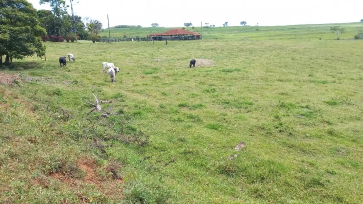 Foto 6 de Fazenda / Haras à venda, 90m2 em Monte Aprazivel - SP