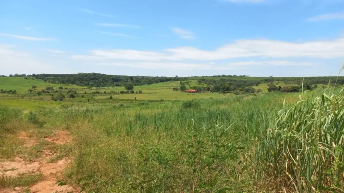 Foto 4 de Fazenda / Haras à venda, 90m2 em Monte Aprazivel - SP