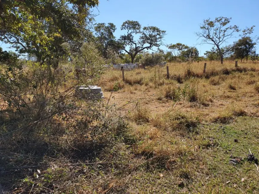 Foto 4 de Fazenda / Haras à venda, 1613m2 em Arinos - MG