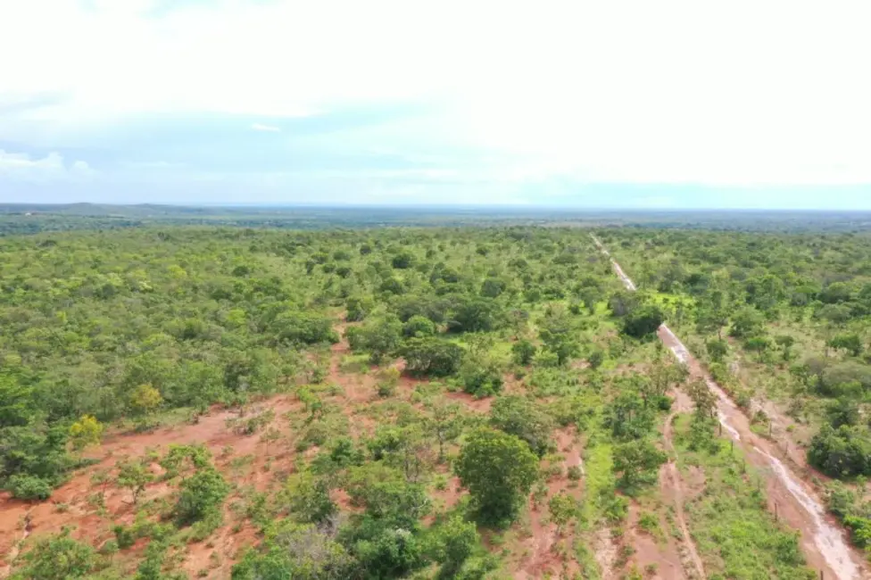 Foto 5 de Fazenda / Haras à venda, 1613m2 em Arinos - MG
