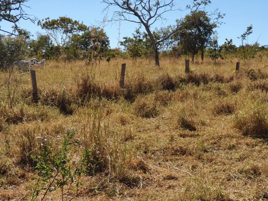 Foto 8 de Fazenda / Haras à venda, 1613m2 em Arinos - MG