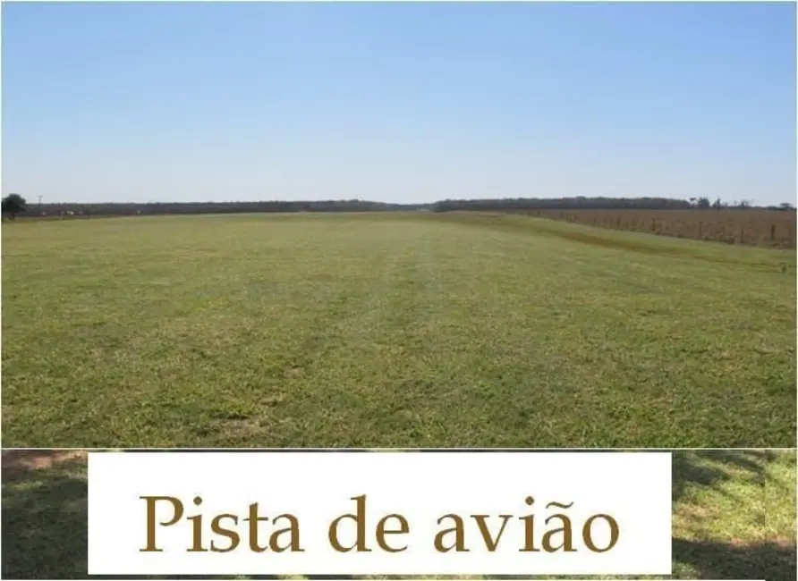 Foto 5 de Fazenda / Haras à venda, 1468m2 em Rancharia - SP