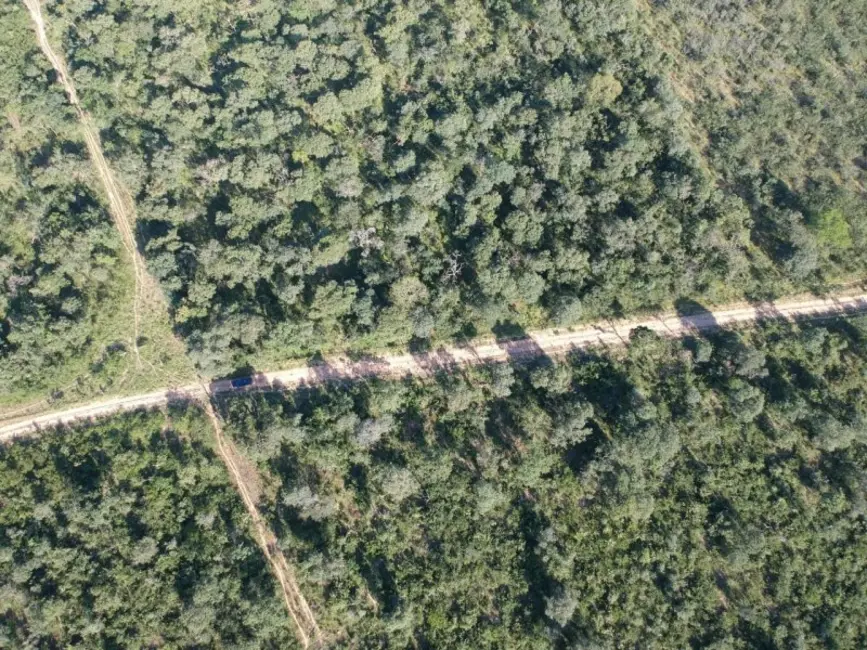 Foto 5 de Fazenda / Haras à venda, 906m2 em Arinos - MG