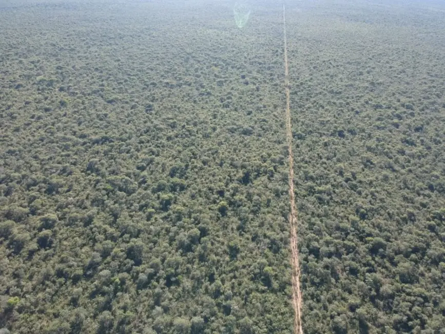 Foto 4 de Fazenda / Haras à venda, 906m2 em Arinos - MG