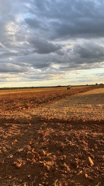 Foto 5 de Fazenda / Haras à venda, 1580m2 em Arinos - MG