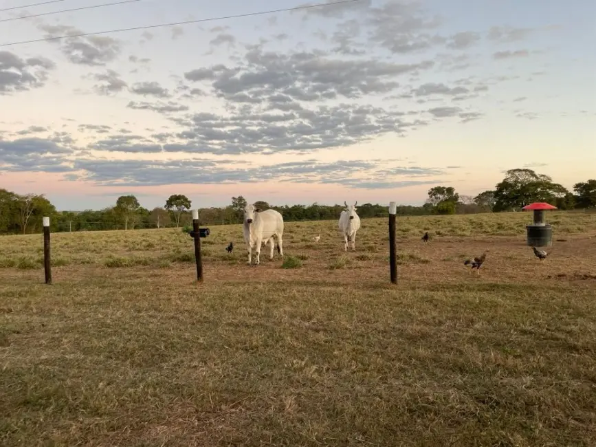 Foto 8 de Fazenda / Haras à venda, 1580m2 em Arinos - MG