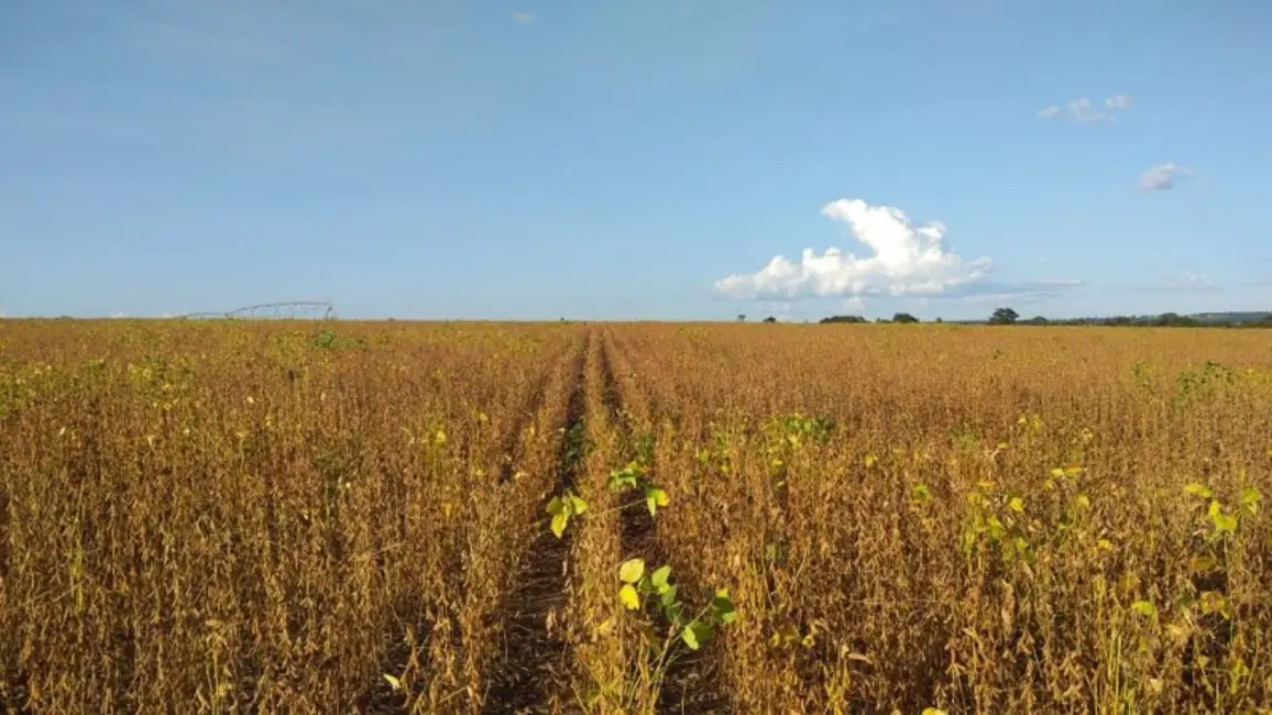 Foto 1 de Fazenda / Haras à venda, 1580m2 em Arinos - MG