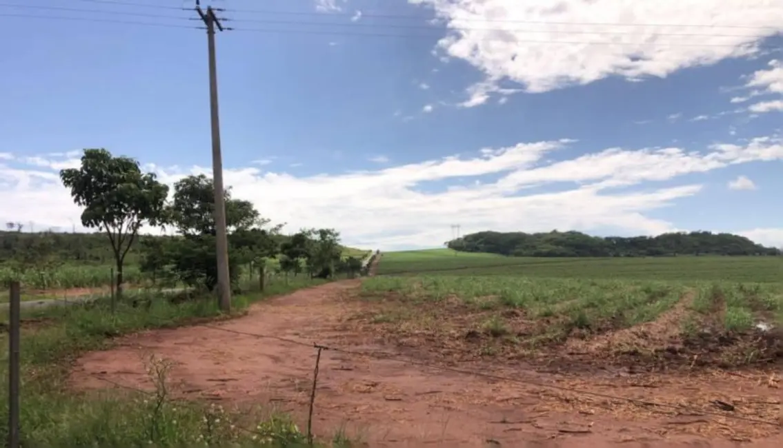Foto 4 de Fazenda / Haras à venda, 458m2 em Cravinhos - SP