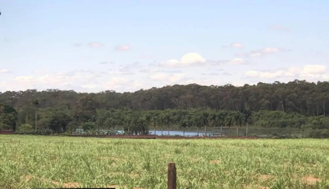 Foto 1 de Fazenda / Haras à venda, 458m2 em Cravinhos - SP