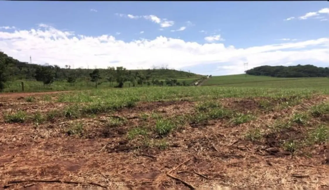 Foto 2 de Fazenda / Haras à venda, 458m2 em Cravinhos - SP