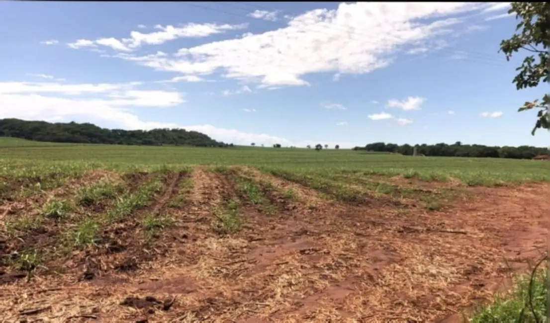 Foto 3 de Fazenda / Haras à venda, 458m2 em Cravinhos - SP
