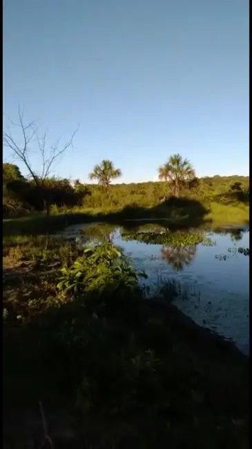 Foto 4 de Fazenda / Haras à venda, 271m2 em Urucuia - MG