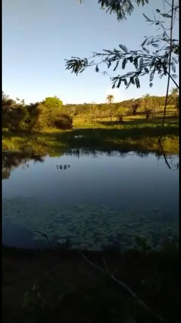 Foto 1 de Fazenda / Haras à venda, 271m2 em Urucuia - MG
