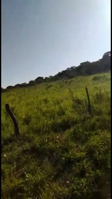 Foto 3 de Fazenda / Haras à venda, 271m2 em Urucuia - MG