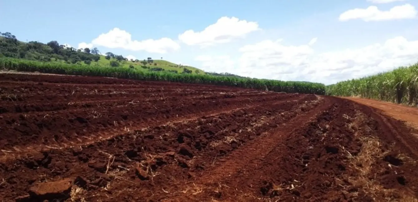 Fazenda / Haras à venda, 773m2 em Área Rural de Ribeirão Preto, Ribeirao Preto - SP - imagem 4 Foto 4 de Fazenda / Haras à venda, 773m2 em Área Rural de Ribeirão Preto, Ribeirao Preto - SP