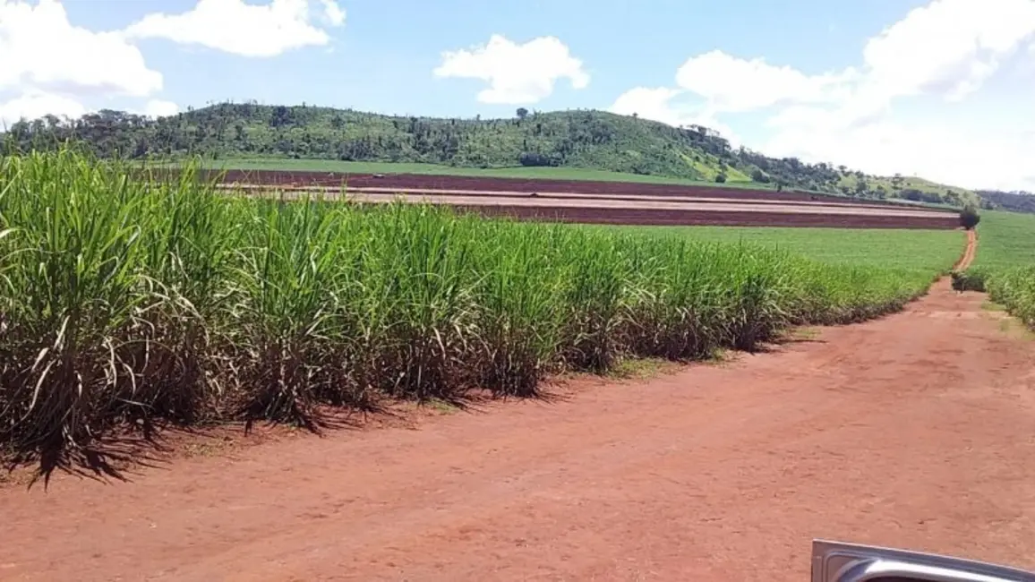 Fazenda / Haras à venda, 773m2 em Área Rural de Ribeirão Preto, Ribeirao Preto - SP - imagem 7 Foto 7 de Fazenda / Haras à venda, 773m2 em Área Rural de Ribeirão Preto, Ribeirao Preto - SP