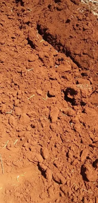 Fazenda / Haras à venda, 773m2 em Área Rural de Ribeirão Preto, Ribeirao Preto - SP - imagem 6 Foto 6 de Fazenda / Haras à venda, 773m2 em Área Rural de Ribeirão Preto, Ribeirao Preto - SP