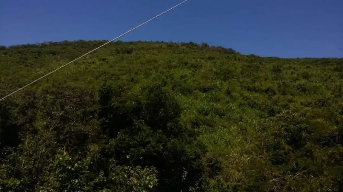 Fazenda / Haras à venda, 773m2 em Área Rural de Ribeirão Preto, Ribeirao Preto - SP - imagem 8 Foto 8 de Fazenda / Haras à venda, 773m2 em Área Rural de Ribeirão Preto, Ribeirao Preto - SP