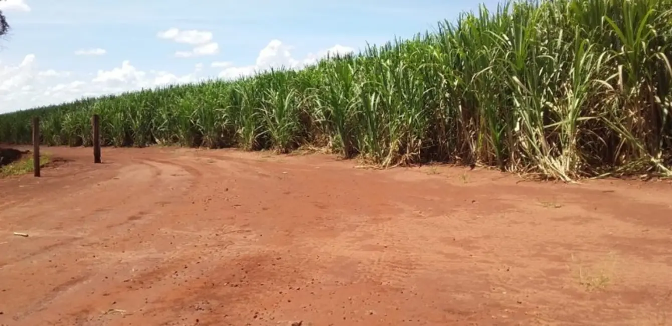 Fazenda / Haras à venda, 773m2 em Área Rural de Ribeirão Preto, Ribeirao Preto - SP - imagem 9 Foto 9 de Fazenda / Haras à venda, 773m2 em Área Rural de Ribeirão Preto, Ribeirao Preto - SP