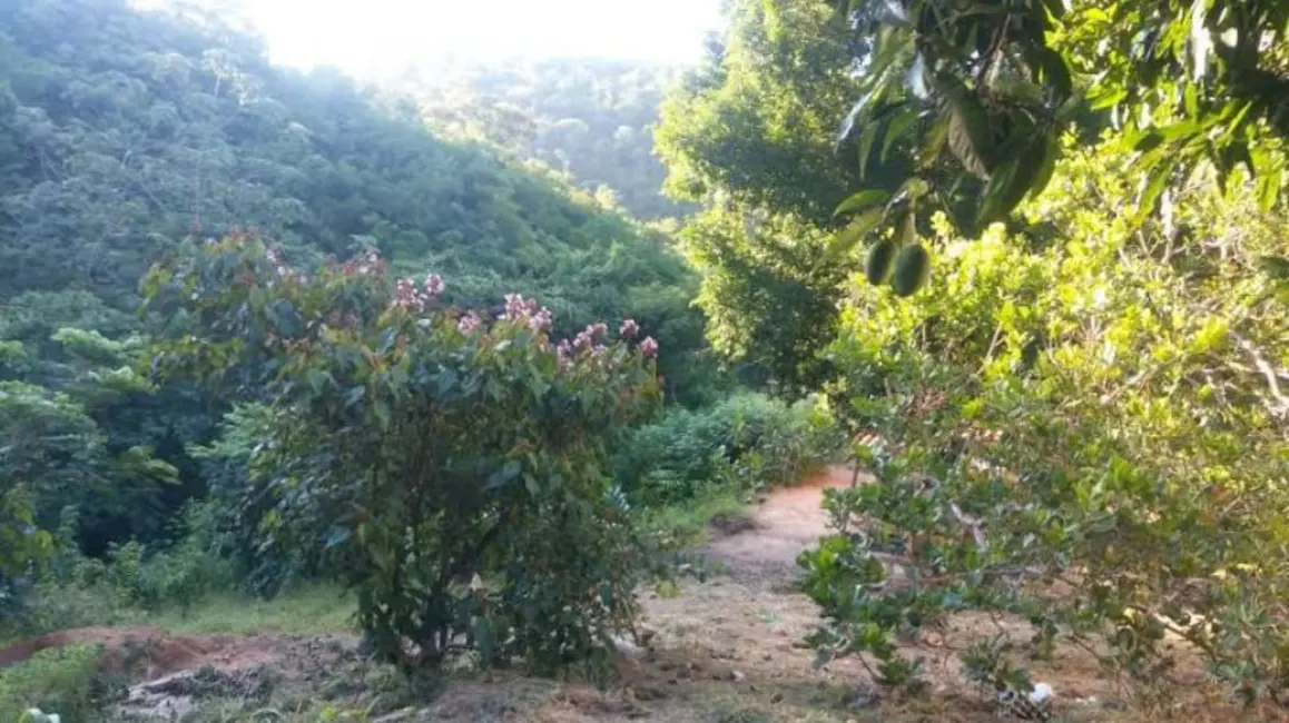 Foto 9 de Fazenda / Haras à venda, 60m2 em Itinga - MG