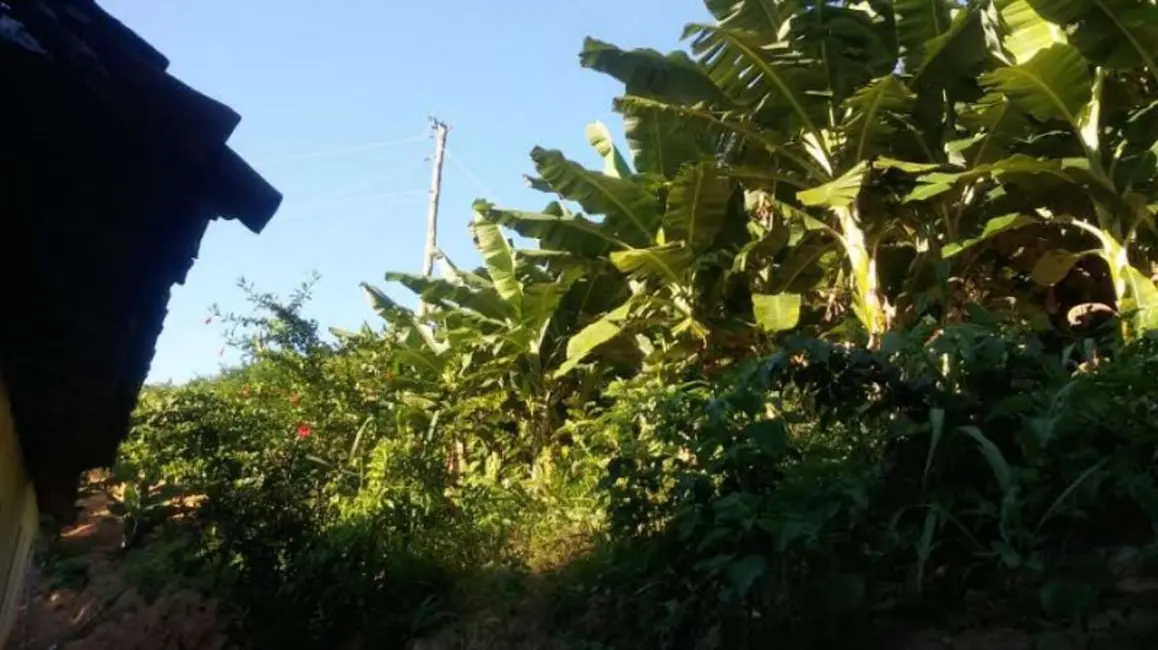 Foto 2 de Fazenda / Haras à venda, 60m2 em Itinga - MG