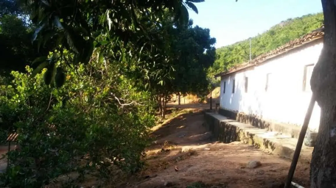 Foto 5 de Fazenda / Haras à venda, 60m2 em Itinga - MG