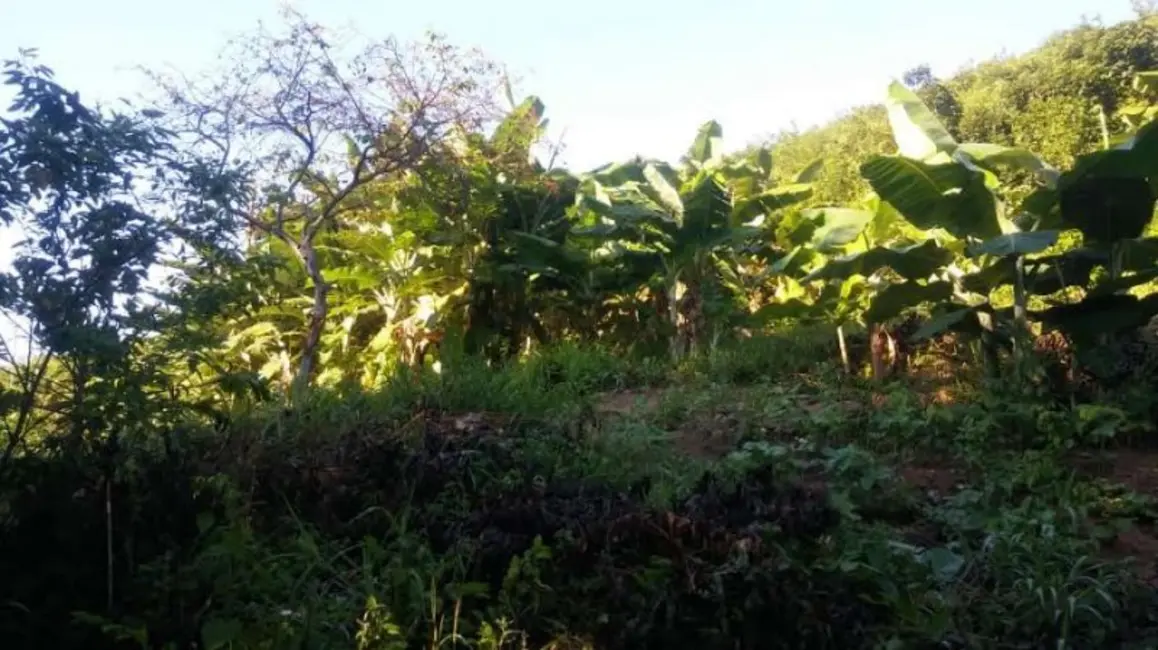 Foto 4 de Fazenda / Haras à venda, 60m2 em Itinga - MG