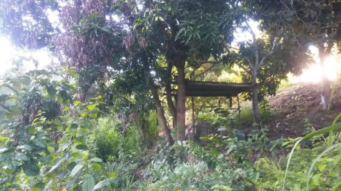 Foto 8 de Fazenda / Haras à venda, 60m2 em Itinga - MG