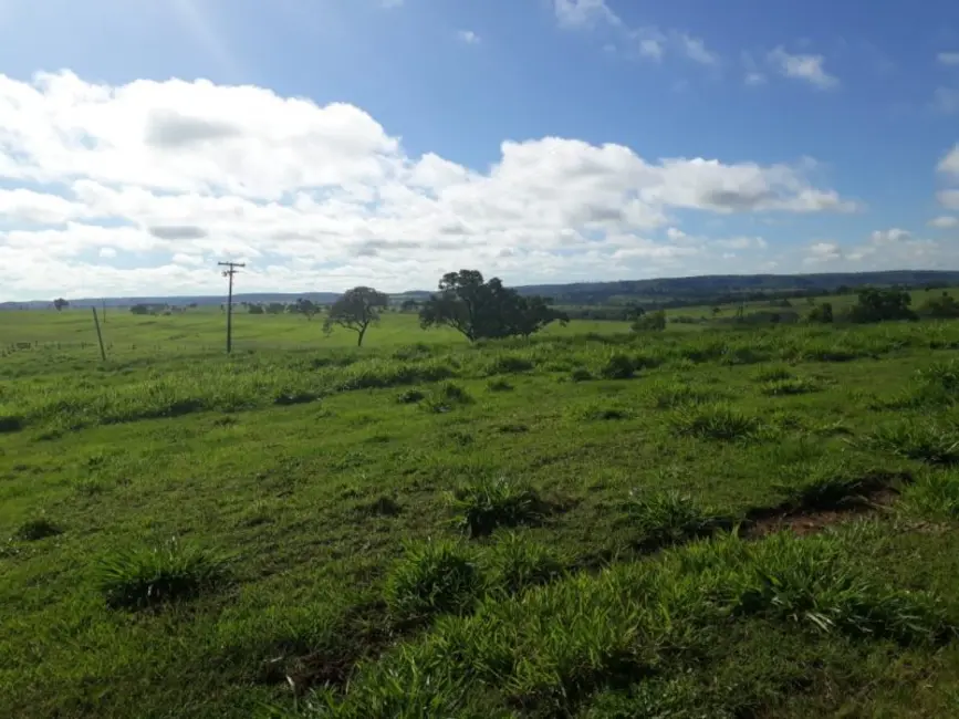 Foto 4 de Fazenda / Haras à venda, 280m2 em Campina Verde - MG