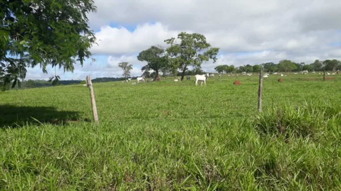 Foto 6 de Fazenda / Haras à venda, 280m2 em Campina Verde - MG