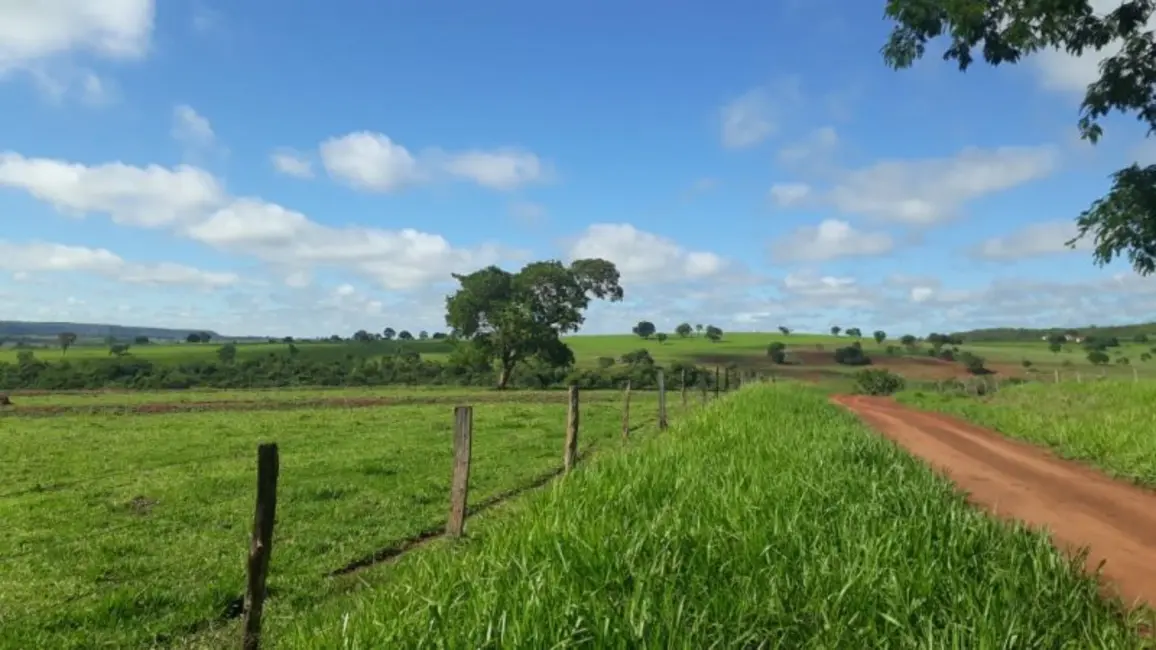 Foto 8 de Fazenda / Haras à venda, 280m2 em Campina Verde - MG