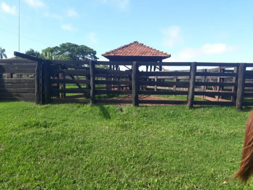 Foto 5 de Fazenda / Haras à venda, 280m2 em Campina Verde - MG