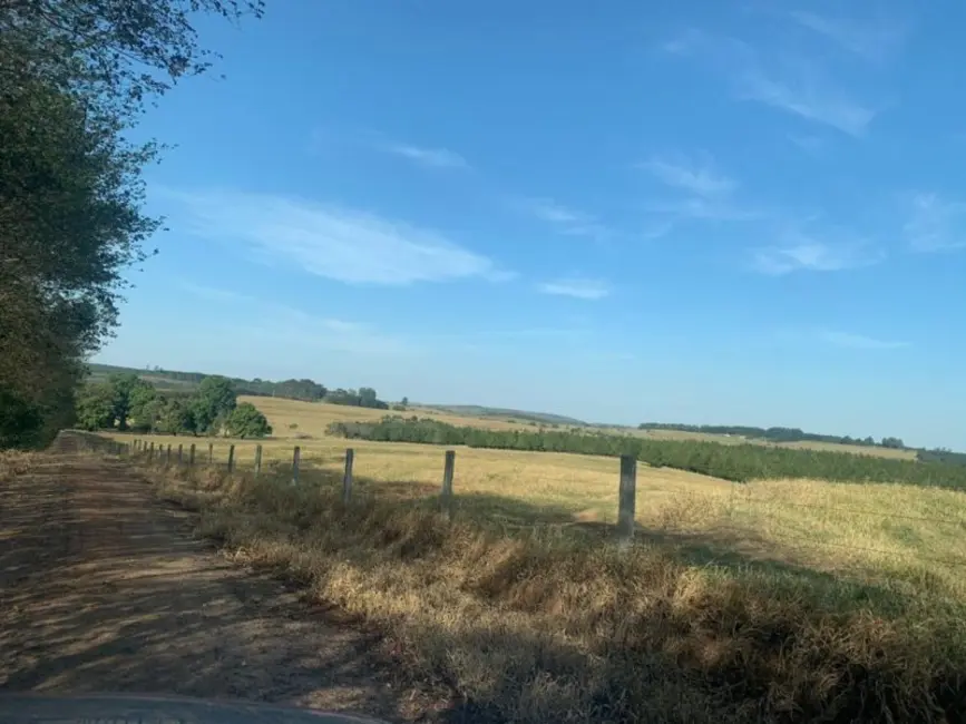 Foto 6 de Fazenda / Haras à venda, 250m2 em Área Rural de Bauru, Bauru - SP
